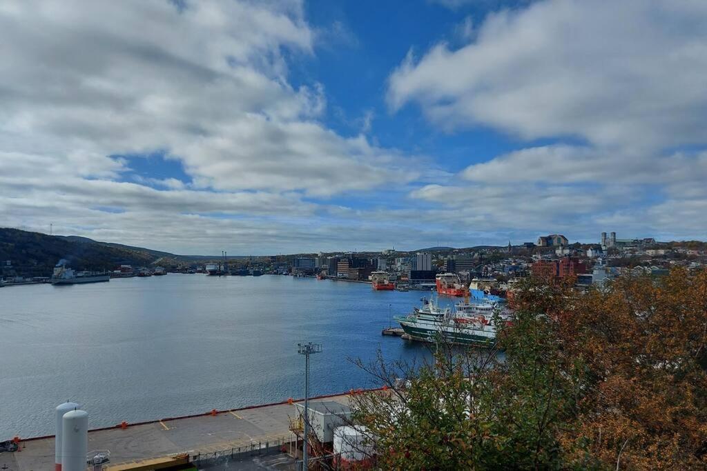 Beautiful & Cozy Dt Home With Pingpong Table St. John's Exterior photo